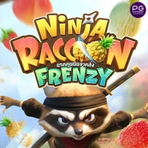 รูป Ninja Raccoon Frenzy