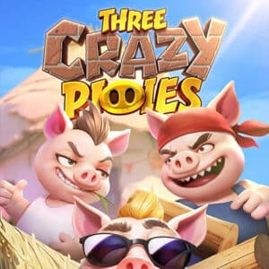 รูป Three Crazy Piggies